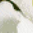 Предпросмотр схемы вышивки «Белая лилия» (№508453)