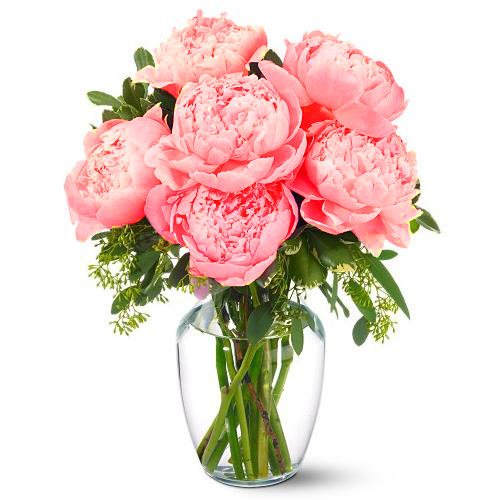 Букет пионов - букет, цветы, пион - оригинал