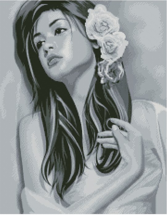 Девушка - дама, монохром, девушка, красавица - оригинал