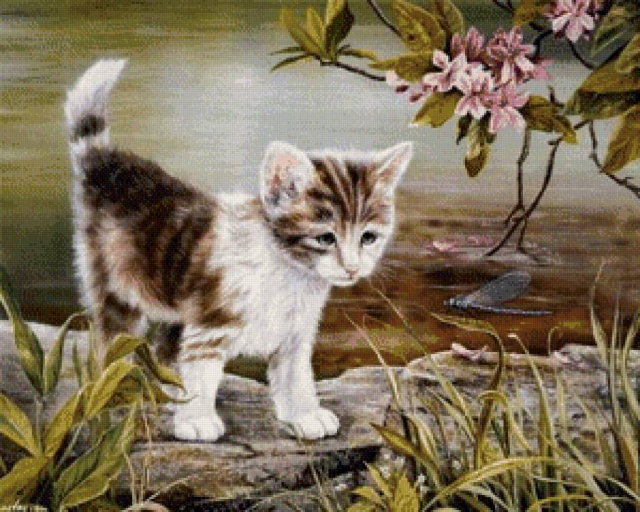 Котенок - коты, животные - предпросмотр