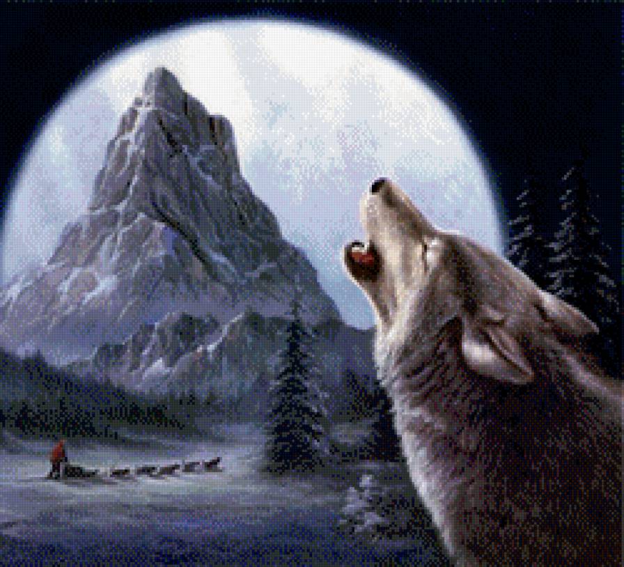 волк аляска - волк, горы.снег, зима, аляска - предпросмотр