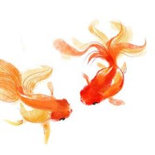 Схема вышивки «рыбки»