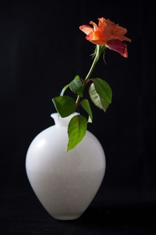 роза в вазе - цветы, красота - оригинал