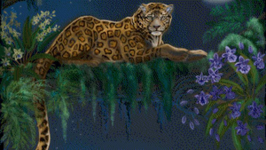 в джунглях - орхидея, цветы, бабочка, леопард, природа, луна, хищник, живопись - предпросмотр