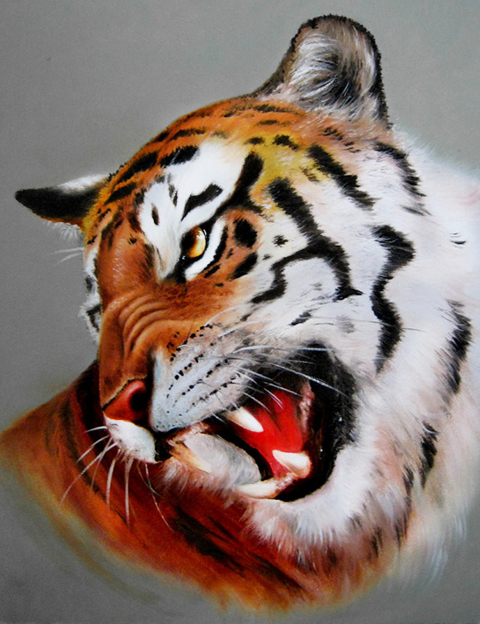 тигр - живопись, оскал, хищник - оригинал