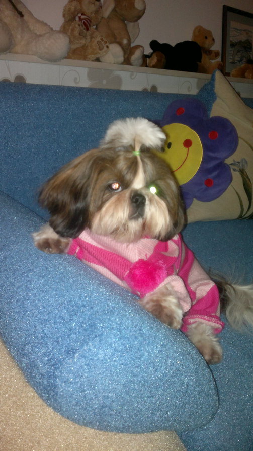 ЩИТ ЦУ - оригинал