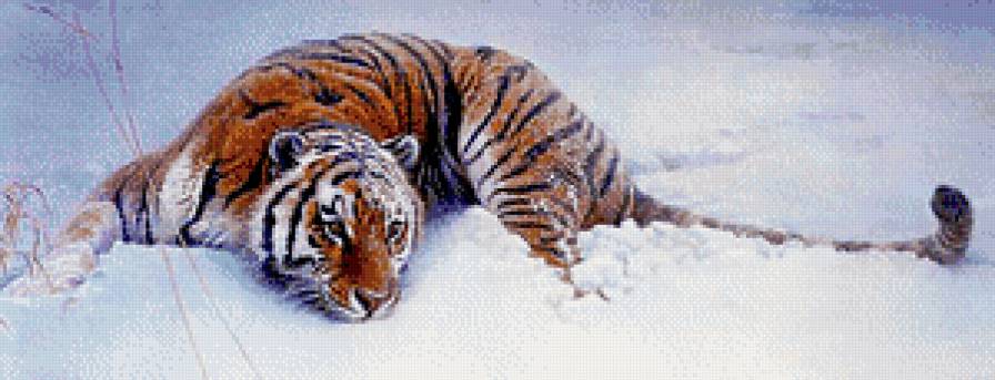 в снегу - хищник, тигр, зима, живопись - предпросмотр
