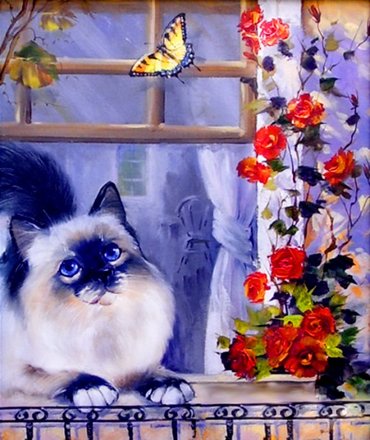кот на окне - живопись, окно, дом, город, цветы, розы, бабочка, роза, кошка - оригинал