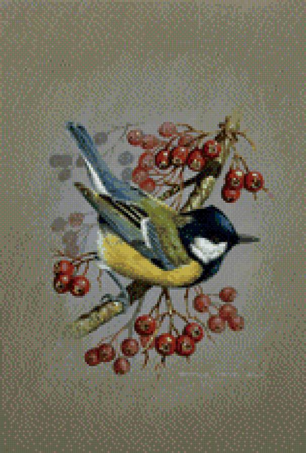 Синичка - рябина, синичка - предпросмотр