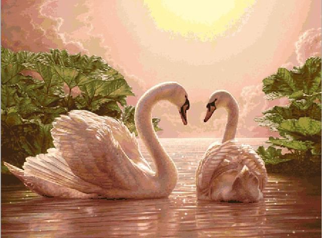 Свидание. - лебеди - оригинал