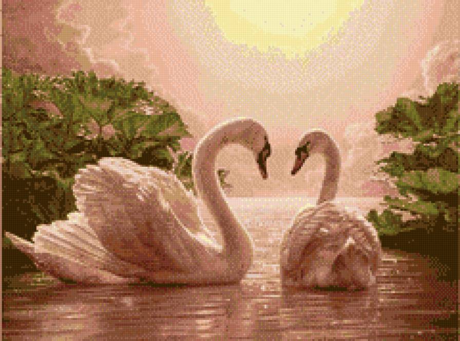 Свидание. - лебеди - предпросмотр