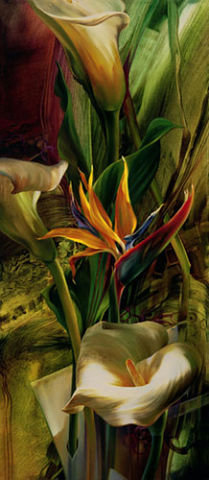 калы - красота, цветы - оригинал