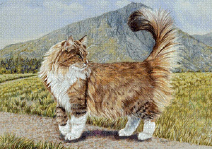 Малышка - кошки, животные, горы, пейзаж - предпросмотр