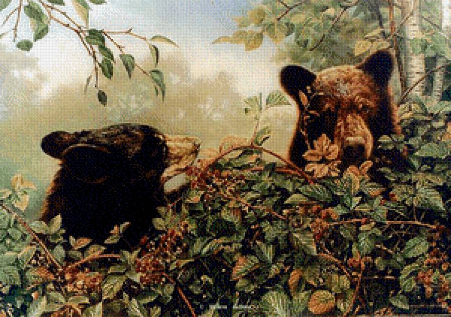 Серия "Медведи" - лето, медведи, животные, лес, пейзаж, ягоды - предпросмотр