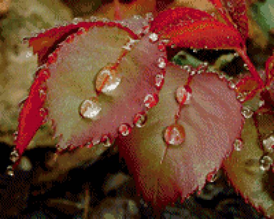 листок - лето - предпросмотр