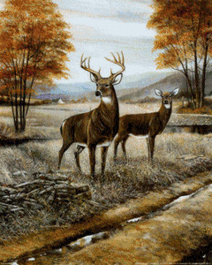 олени - олени - предпросмотр