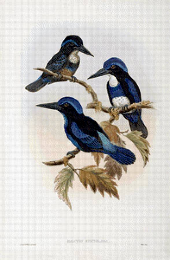 Серия "Птички-невелички" - осень, птицы - предпросмотр