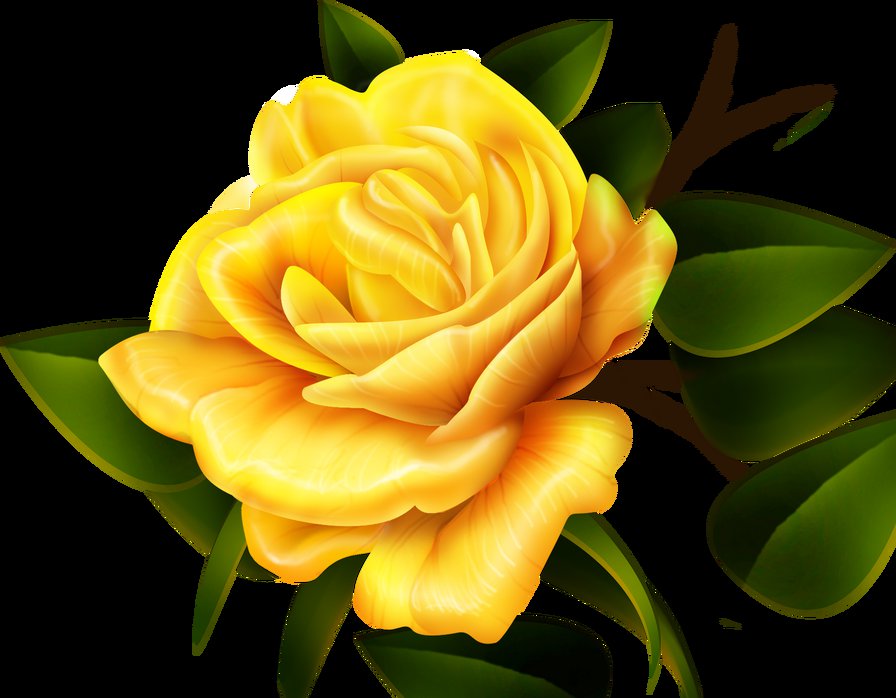 Желтая роза - розы, цветы - оригинал