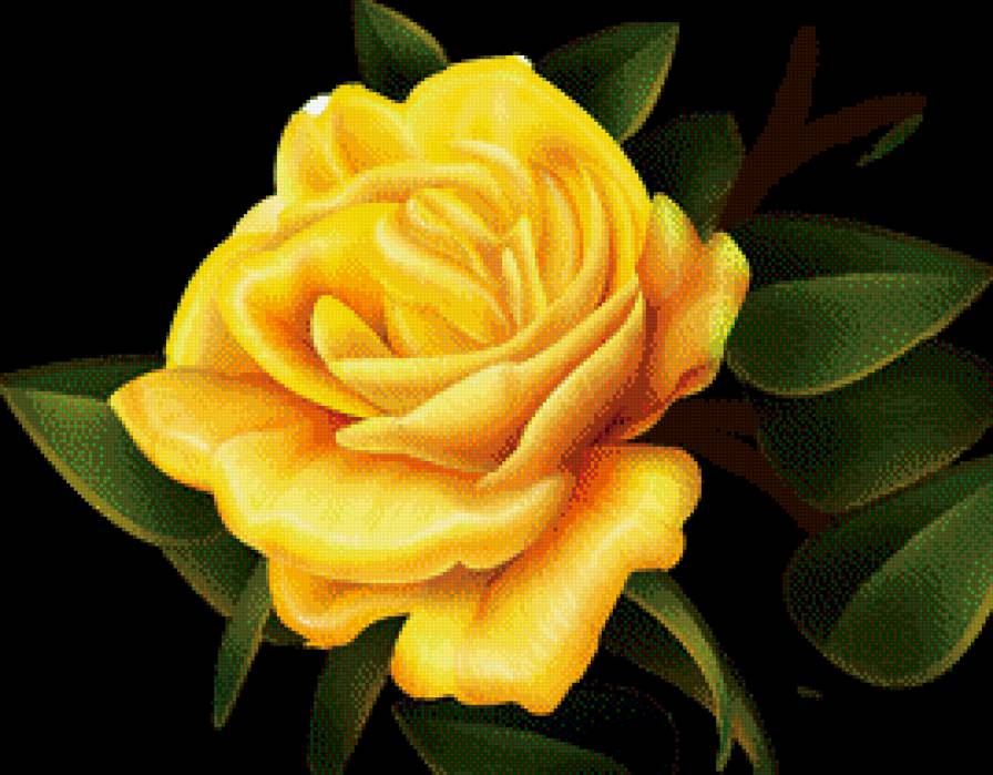 Желтая роза - цветы, розы - предпросмотр