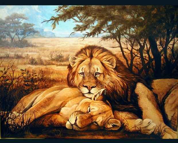 Пара львов - коты, дикие животные, животные, царь зверей, львица, пара, лев - оригинал