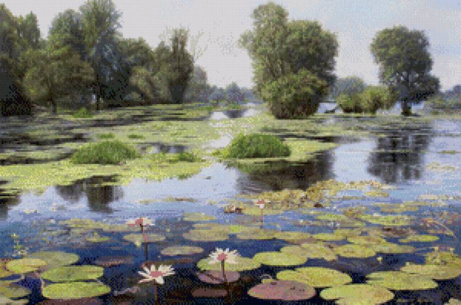 озеро - лилии, озеро, пруд - предпросмотр
