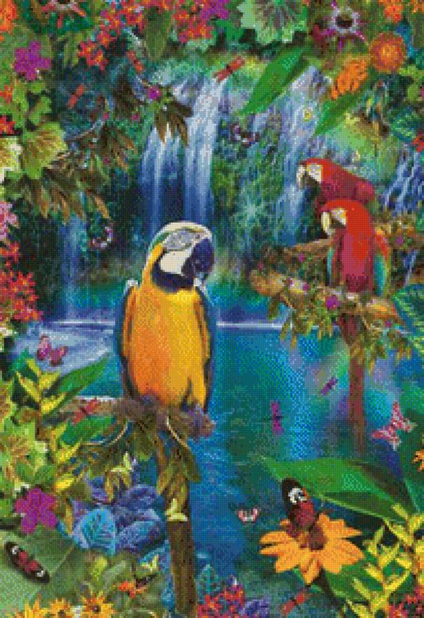 Попугаи - предпросмотр