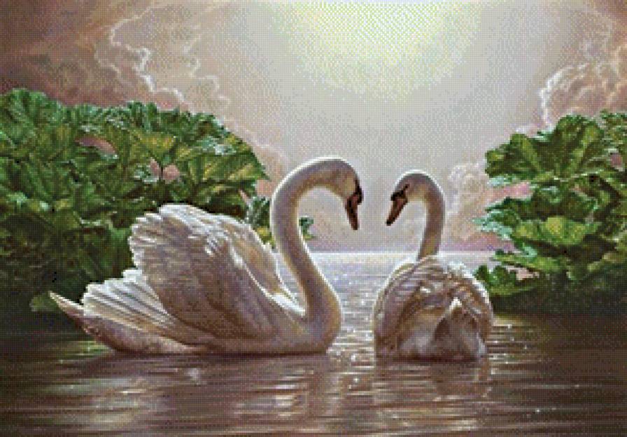 Лебеди - предпросмотр