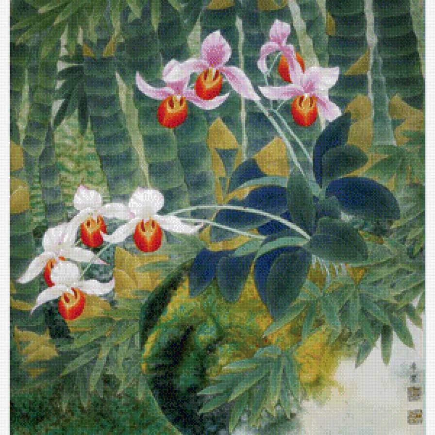 Орхидеи - цветы, азия, пейзаж, восток - предпросмотр