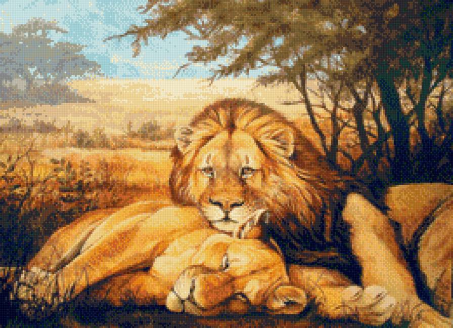 Львиная идиллия - большие кошки, львы, пара, животные - предпросмотр