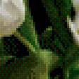 Предпросмотр схемы вышивки «тюльпаны в вазе» (№509727)