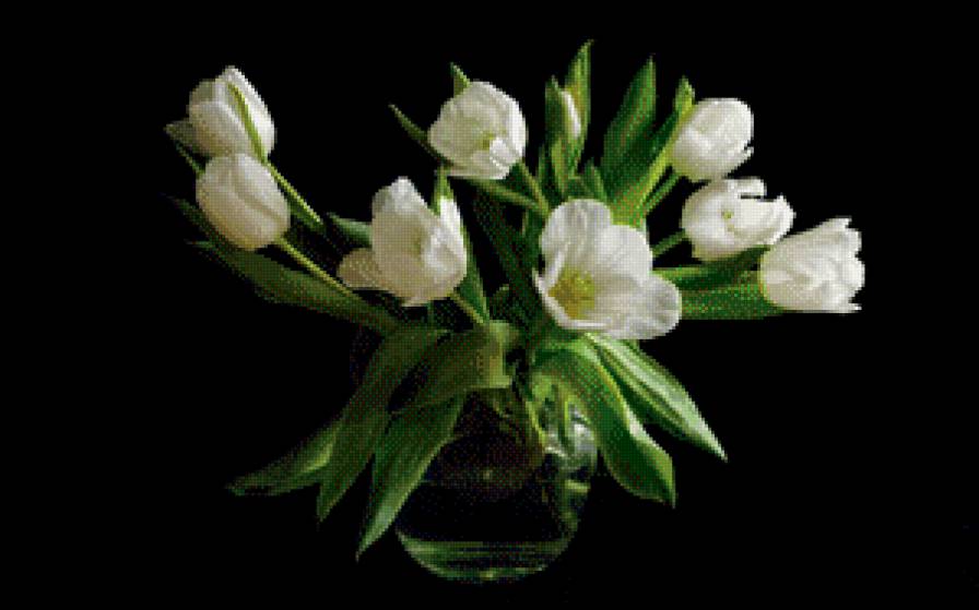 тюльпаны в вазе - красота, цветы - предпросмотр