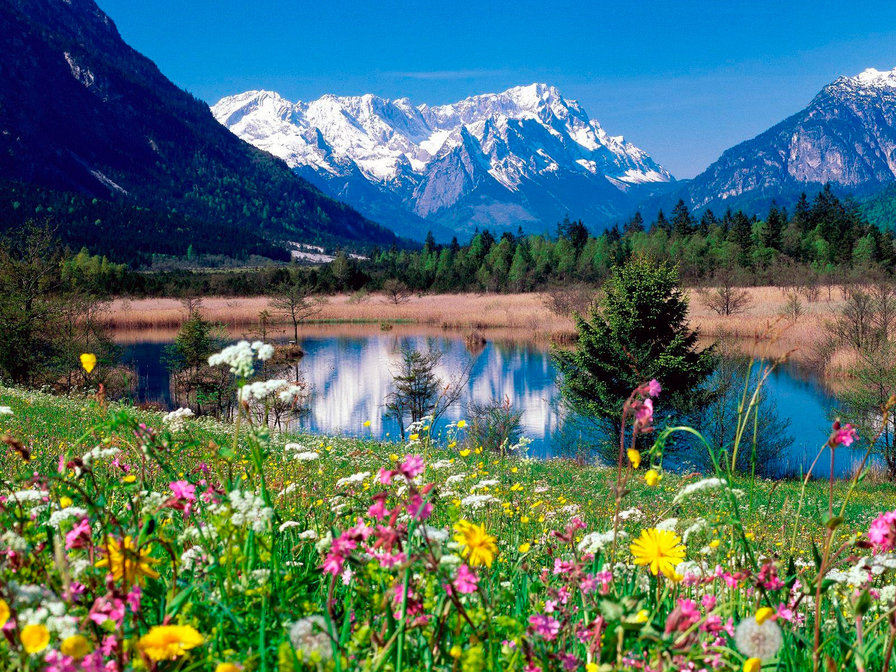 природа - пейзаж, горы, цветы, река - оригинал