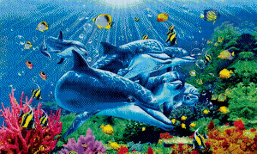 дельфины - рыбы, море, вода - предпросмотр