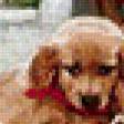 Предпросмотр схемы вышивки «в ожидании» (№509904)