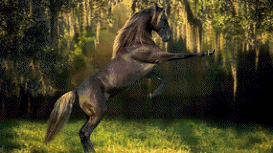 56 - предпросмотр