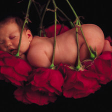 Схема вышивки «дети цветы жизни»