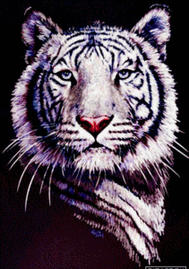 белый тигр - живопись, взгляд, портрет, хищник - предпросмотр