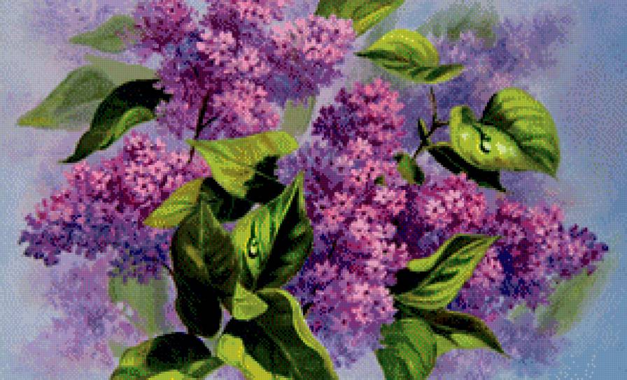 сирень - живопись, куст, картина, весна, цветы, букет - предпросмотр
