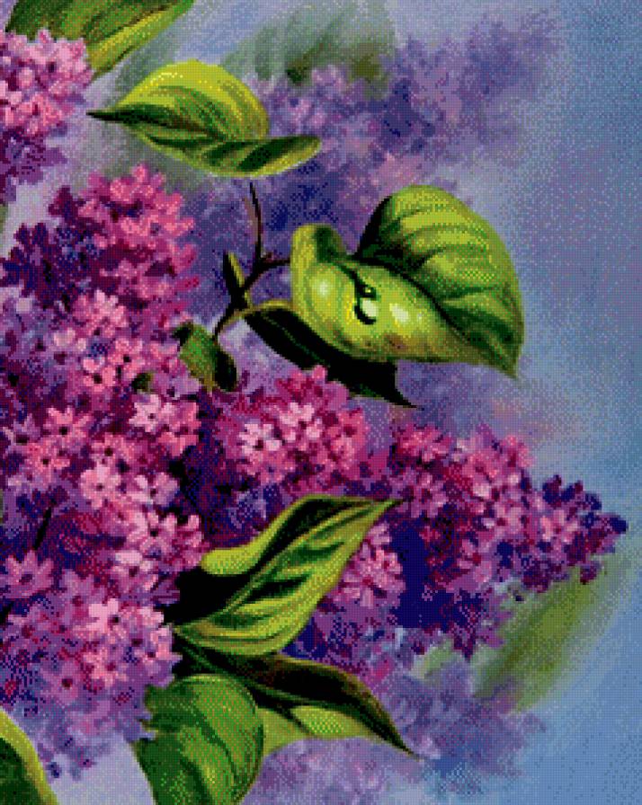 сирень часть 2 - букет, живопись, цветы, картина, весна, куст - предпросмотр