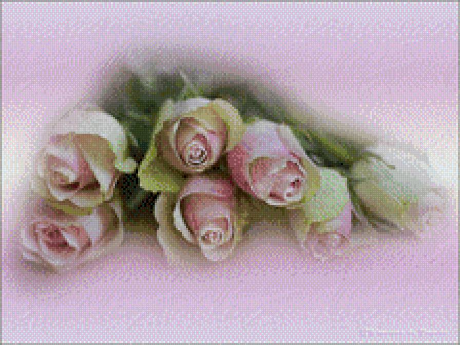 Розовые розы - букет, цветы - предпросмотр