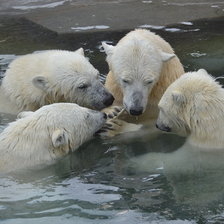 Схема вышивки «держитесь ребята»