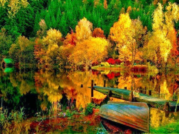 Отражения в воде - горы, листья, лодка, осень, лес, пруд, мостик, вода - оригинал