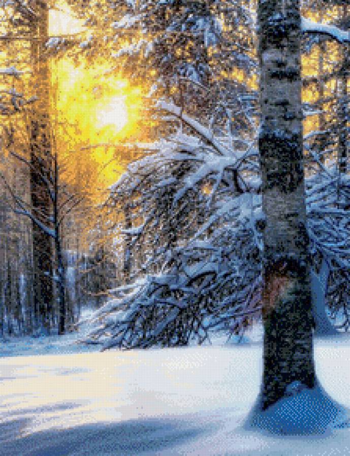 Мороз и солнце - снег, зима, лес, солнце - предпросмотр