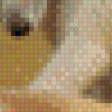 Предпросмотр схемы вышивки «fox» (№510731)