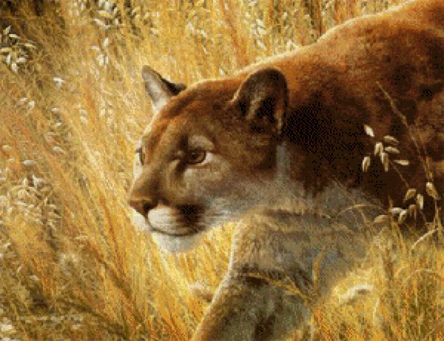 большие кошки - предпросмотр