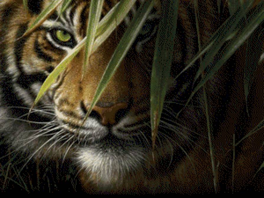 тигр - предпросмотр