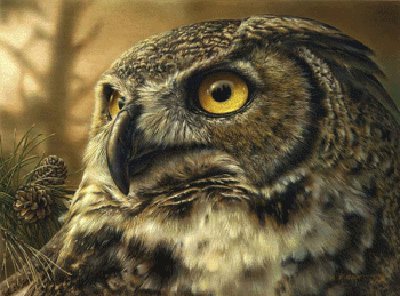 сова - оригинал