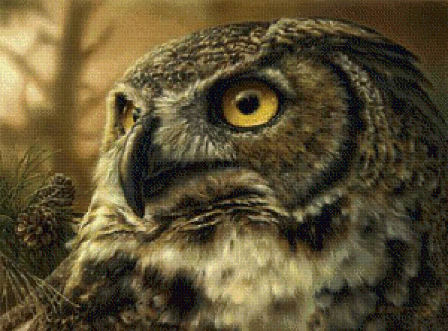 сова - предпросмотр