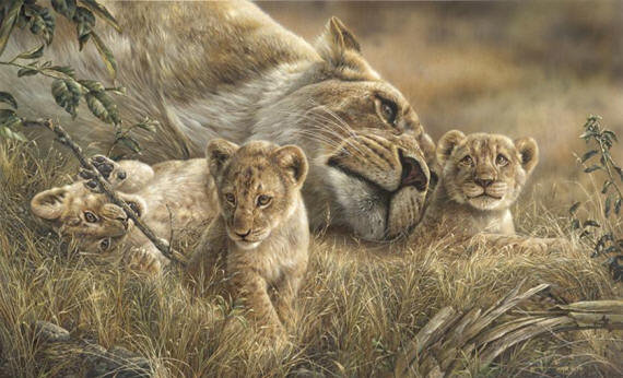 семья львов - оригинал