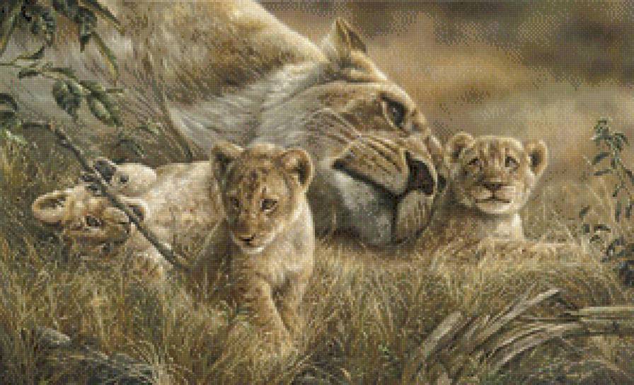 семья львов - предпросмотр